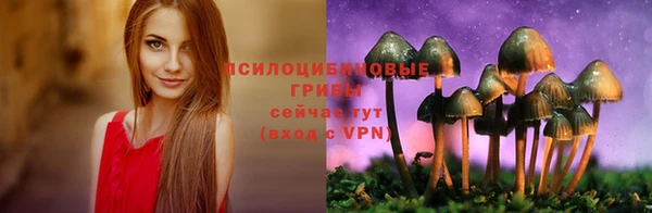 ALPHA-PVP Абинск